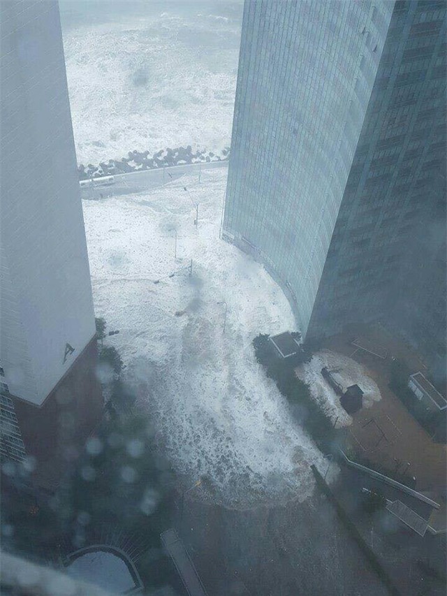 Cảnh tượng ngập lụt, đổ nát kinh hoàng sau bão tại siêu đô thị Hàn Quốc - Ảnh 10.