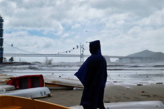 Cảnh tượng ngập lụt, đổ nát kinh hoàng sau bão tại siêu đô thị Hàn Quốc - Ảnh 18.