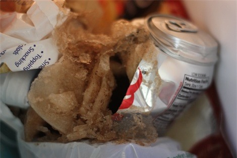 be trai bi khau 38 mui tren mat chi vi lon nuoc ngot 'phat no' - 3