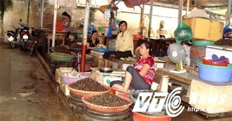Đặc sản, bí ẩn, ốc không nắp, cá chép không vẩy, Hồ Tây, ốc Hồ Tây không nắp, Ốc quái thai, thủy quái, cá khủng, dân nhậu