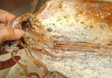 2 thực phẩm hại gan nhiều nhất chuyên gia khuyên bạn tránh xa - Ảnh 1.