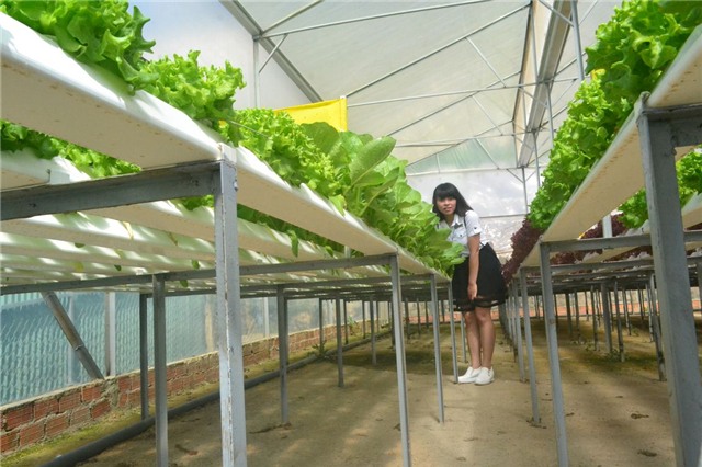 moi chuyen gia tu my thiet ke vuon rau sieu sach tien ty o da lat hinh anh 5