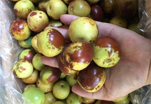 hoa quả, hoa quả Việt Nam, hoa quả Trung Quốc, hoa quả Tàu, hoa quả Trung Quốc nhập khẩu, táo thâm xỉn, táo đá mini, lê mini má hồng, nho mỹ nhân chỉ