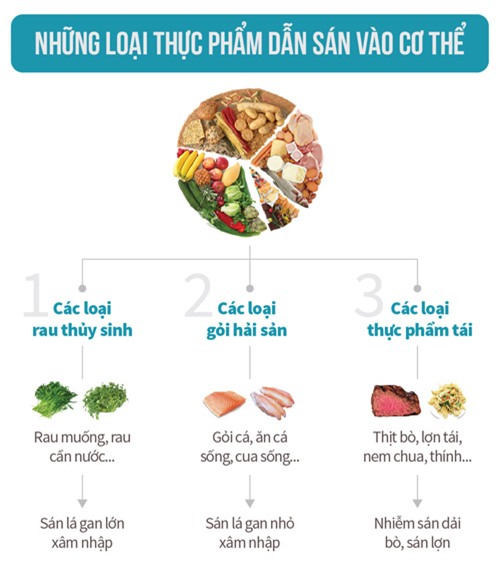 Giật mình với những loại rau, thịt ăn hàng ngày khiến sán làm tổ trong cơ thể - Ảnh 1.