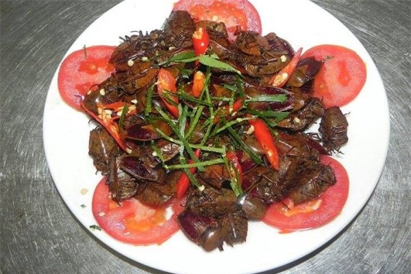 Thạc sỹ dế mèn, nuôi côn trùng, nuôi dế, kỹ thuật nuôi dế, các món ăn từ dế, các món ăn từ côn trùng, bí quyết nuôi dế, làm giàu từ côn trùng