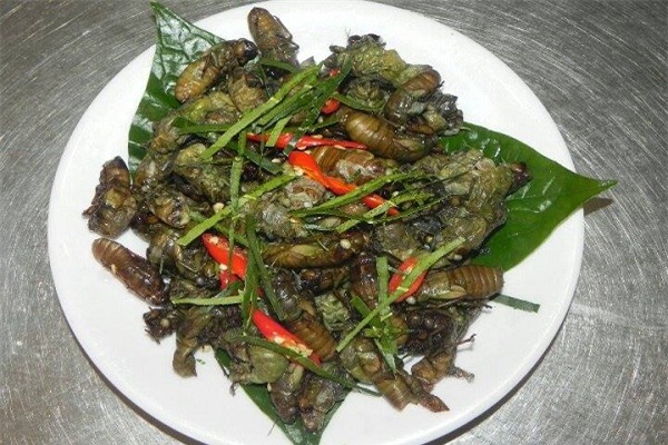 Thạc sỹ dế mèn, nuôi côn trùng, nuôi dế, kỹ thuật nuôi dế, các món ăn từ dế, các món ăn từ côn trùng, bí quyết nuôi dế, làm giàu từ côn trùng