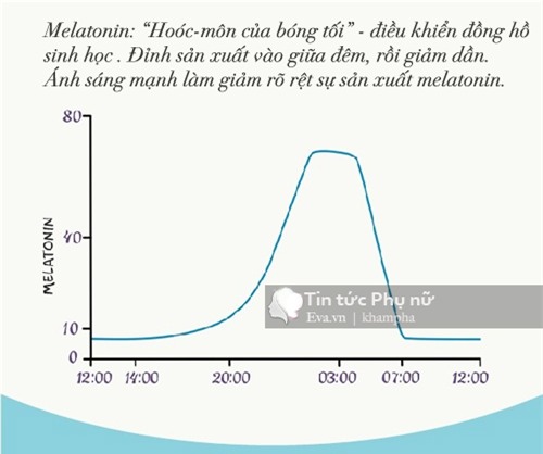 day la li do quan trong me can de tre ngu trong bong toi - 4