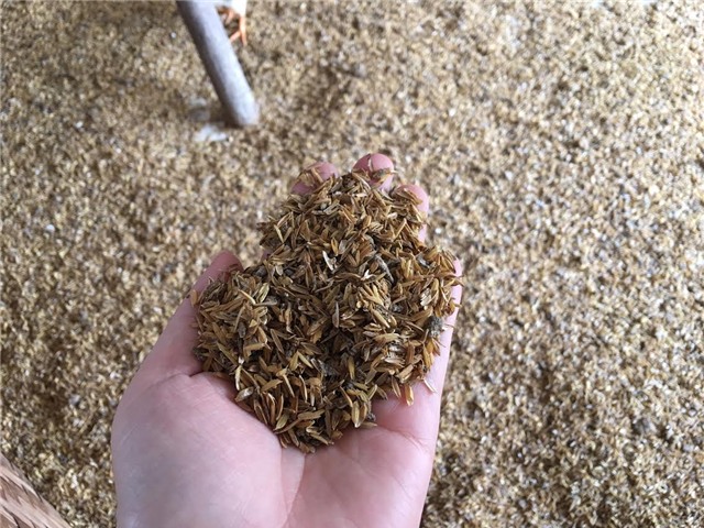 trang trại gà, nuôi gà, trang trại gà không mùi hôi, gà ta vĩnh phúc, gà ta thả vườn, men vi sinh emiser