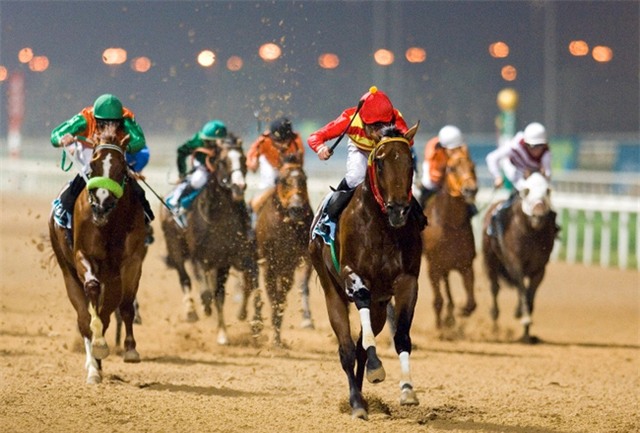 Các siêu đô thị dù có phồn hoa cỡ nào cũng không địch lại được 13 thứ chỉ có ở Dubai - Ảnh 10.