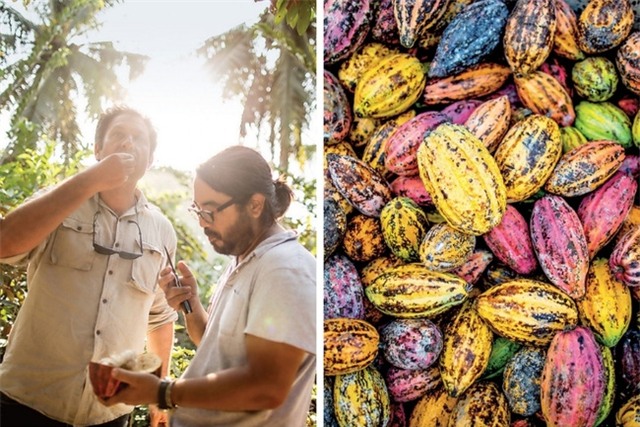 Việt Nam đang sở hữu loại chocolate ngon nhất thế giới - Ảnh 2.