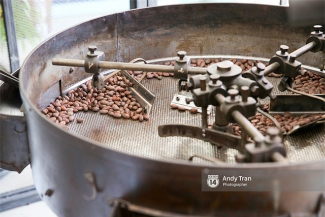 Việt Nam đang sở hữu loại chocolate ngon nhất thế giới - Ảnh 9.