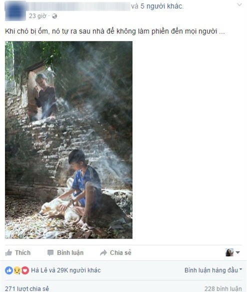 Bức ảnh chú chó bị ốm ra sau nhà để không làm phiền chủ khiến bạn phải rơi nước mắt - Ảnh 2.