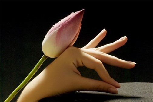 ban-tay-blogtamsu.jpg 2