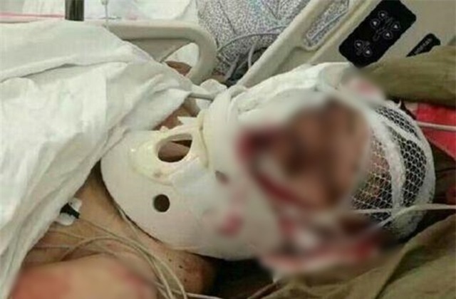 Những tình tiết bất ngờ trong vụ người phụ nữ bị hổ vồ trong công viên Bắc Kinh - Ảnh 3.