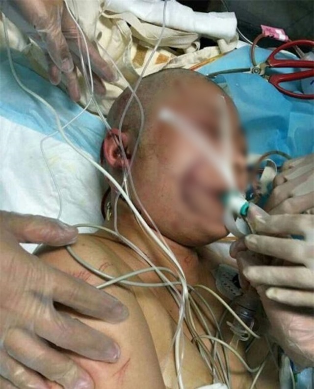 Những tình tiết bất ngờ trong vụ người phụ nữ bị hổ vồ trong công viên Bắc Kinh - Ảnh 4.