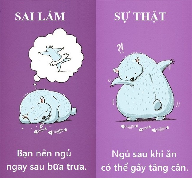 12 quan niem tuong lanh manh nhung lai la sai lam hinh anh 6