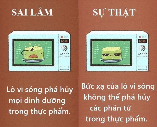 12 quan niem tuong lanh manh nhung lai la sai lam hinh anh 8