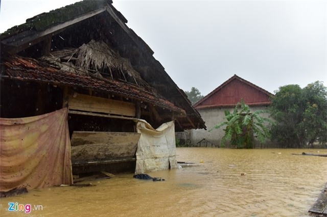 Om ban tho nguoi than chay lu hinh anh 3