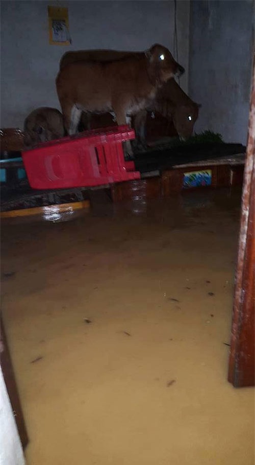 mưa lũ miền Trung, hình ảnh xót xa, hình ảnh mưa lũ, lũ lịch sử ở miền Trung