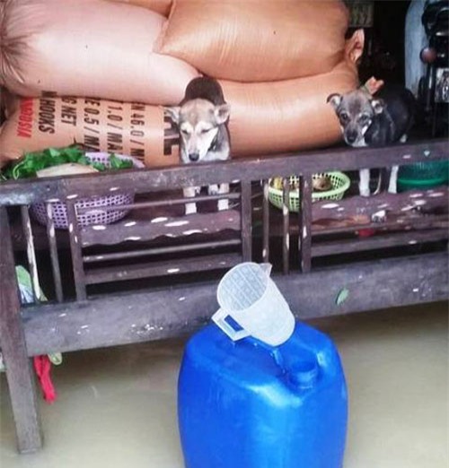 mưa lũ miền Trung, hình ảnh xót xa, hình ảnh mưa lũ, lũ lịch sử ở miền Trung