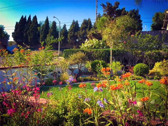 Ngắm ngôi nhà thanh bình và khu vườn đẹp lung linh trên đất Mỹ của MC Nguyễn Cao Kỳ Duyên - Ảnh 2.