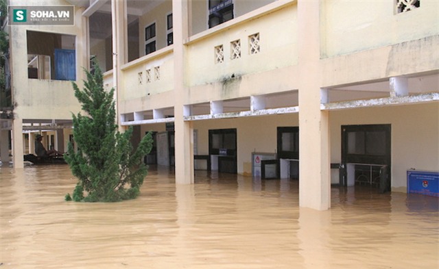 Cuộc sống đảo lộn của hàng nghìn người trên nóc nhà trong lũ dữ - Ảnh 6.