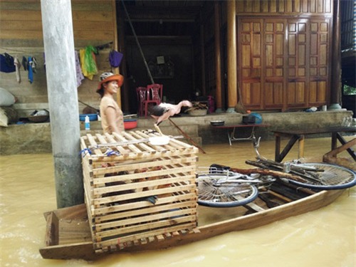 dem kinh hoang mo vot vo, con trong dong lu toi den - 6