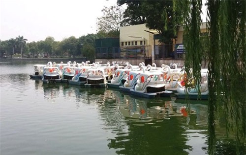 hai duong: xot xa buc thu tuyet menh cua mot co giao - 1