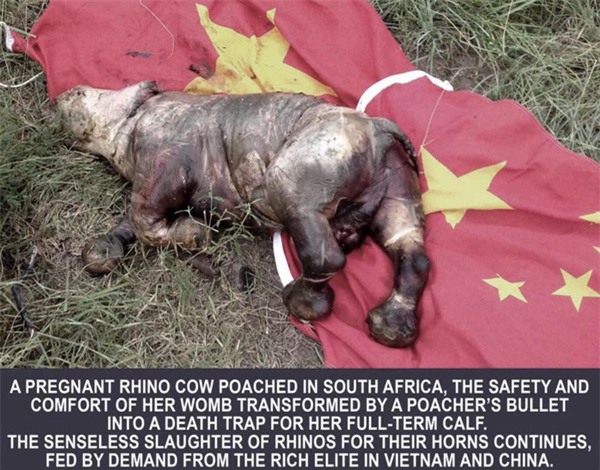 MC Phan Anh: Tôi thấy mình hèn vì chưa làm được hết sức cho quê hương - Ảnh 4.