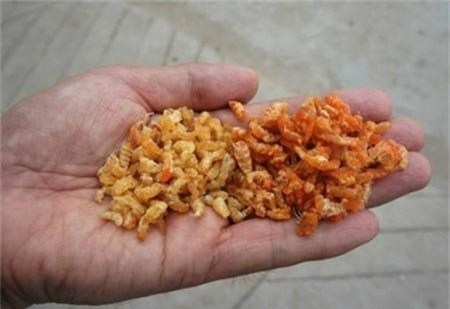 bảo quản tôm khô, tăng trọng lượng, tôm tươi, cách nhận biết, hóa chất cực độc, ung thư, bơm nước, hải sản