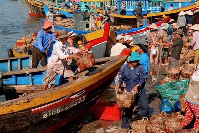 Nghe cong bo asen, khach doa tra nuoc mam cho doanh nghiep hinh anh 1