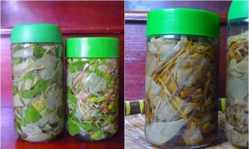 rau diep ca ngam ruou nep: ban se tiec vi khong biet