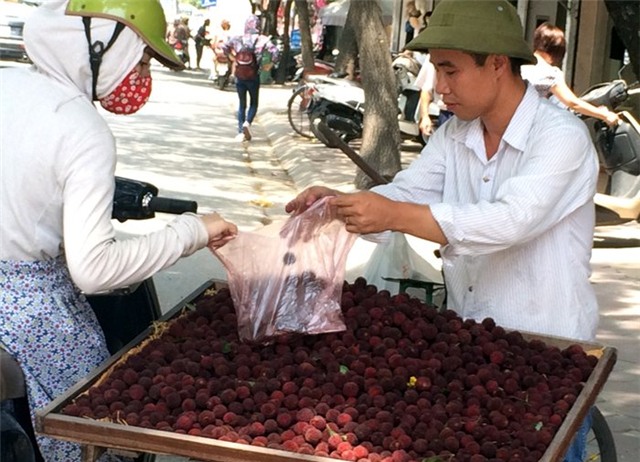 táo đá hà giang, thanh mai, lựu trung quốc, xoài mút, hoa quả tàu, dân việt bị lừa, thanh mai trung quốc