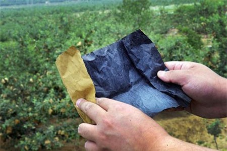 táo đỏ Trung Quốc, hóa chất, thuốc trừ sâu, nông dân, ung thư, Táo đỏ Yên Đài, tẩm hóa chất, trái cây, hàng Tàu