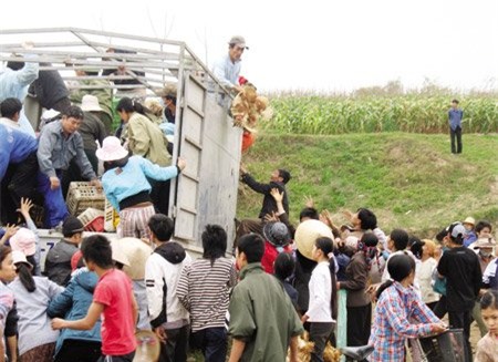 tiêu hủy hàng giả, cướp hàng tiêu hủy, tiêu hủy hàng giả tại Bộ KH-CN, hôi của, hàng giả, hàng nhái, hàng fake