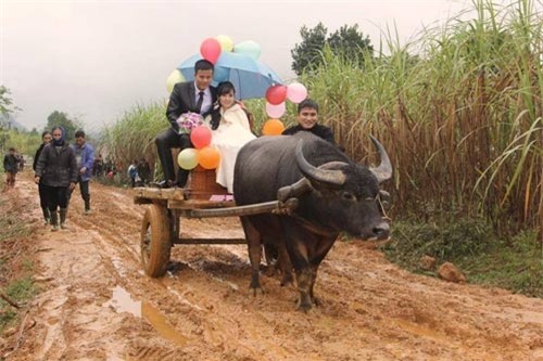 Xe hoa lạ ở Nghệ An khiến người đi đường không khỏi kinh ngạc - Ảnh 2.