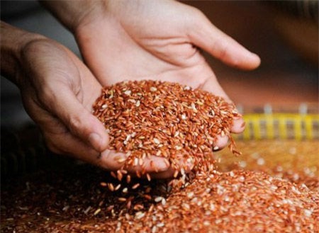 Nguy kịch, di căn khắp cơ thể khi chữa ung thư bằng nước lã với gạo lứt - Ảnh 2.