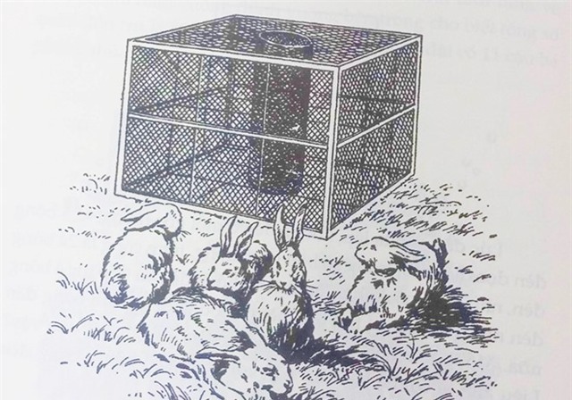 Bai Toan hoc bua: Nhot tho vao long hinh anh 1