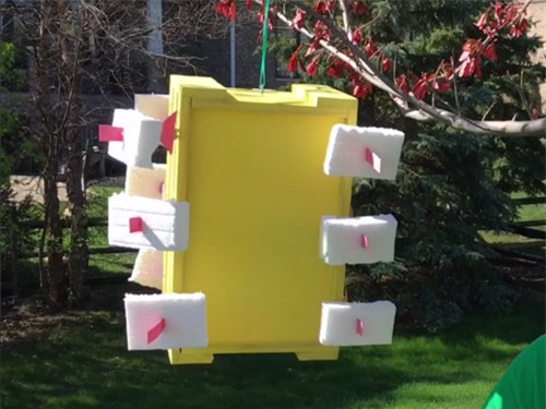 Máy phát điện mini giá 5 USD của cô bé 13 tuổi - 2