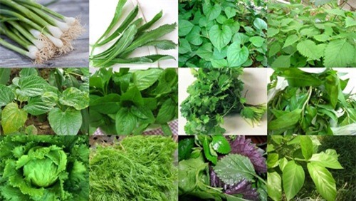 nhung loai rau cu chi em nen trong de van du rau an cho mua dong lanh gia - 5