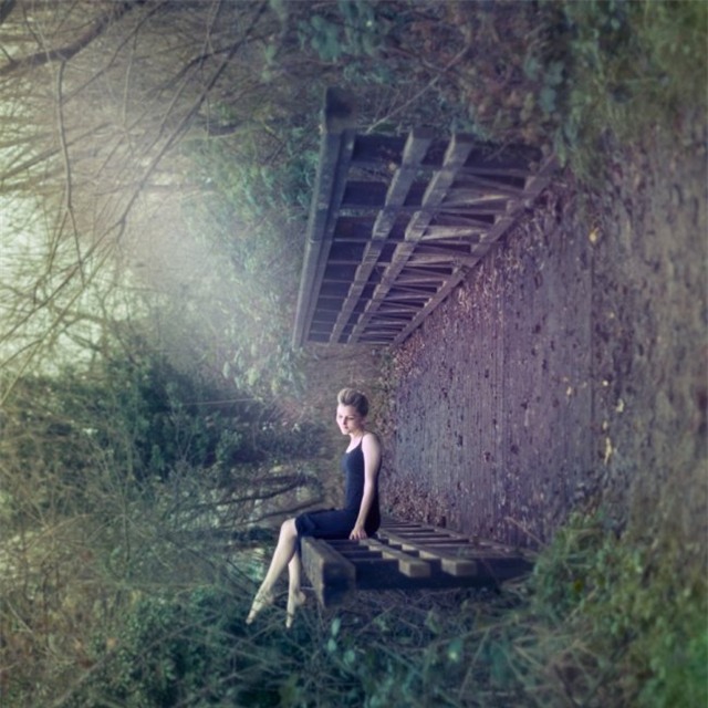 trí thông minh, tăng cường trí thông minh, luyện trí thông minh