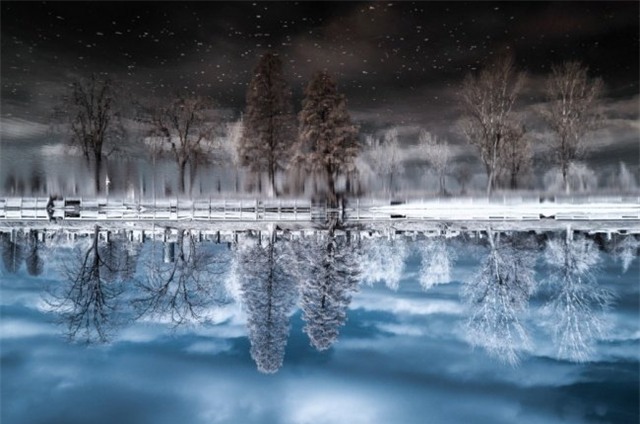 trí thông minh, tăng cường trí thông minh, luyện trí thông minh