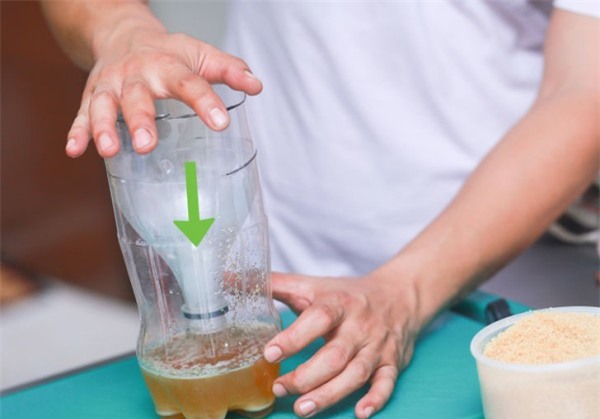 Hàng trăm con muỗi sẽ lao vào xin chết với chiếc bẫy đơn giản ai cũng có thể tự làm - Ảnh 5.