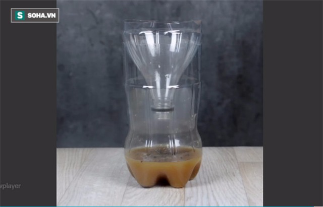 Hàng trăm con muỗi sẽ lao vào xin chết với chiếc bẫy đơn giản ai cũng có thể tự làm - Ảnh 7.