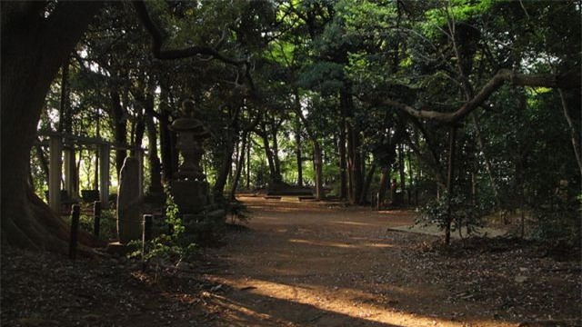 Tới Nhật Bản mùa Halloween, đừng dại dột mà ghé qua 10 địa điểm rùng rợn này - Ảnh 2.