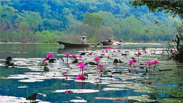 suối yên