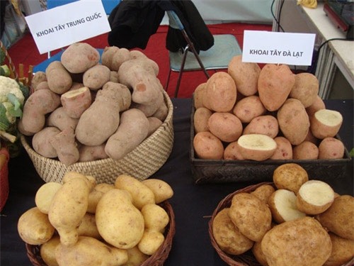 Rau quả Trung Quốc được hưởng thuế 0% vào Việt Nam sẽ là áp lực cực lớn đối với nông nghiệp Việt trong cuộc cạnh tranh về giá