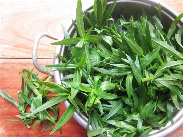 Rau ngổ: Loại rau thơm chữa bách bệnh không phải ai cũng biết - Ảnh 3.