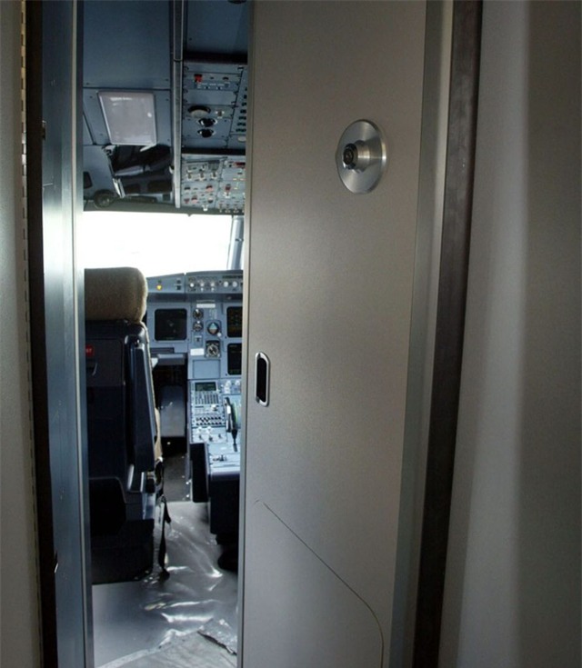 Chụp ảnh thủ dâm khi đang bay ở độ cao 11km, phi công bị đình chỉ công tác - Ảnh 1.