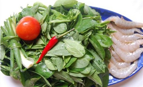 3 tác dụng phụ đáng sợ của rau ngót cần phải biết trước khi ăn - Ảnh 1.